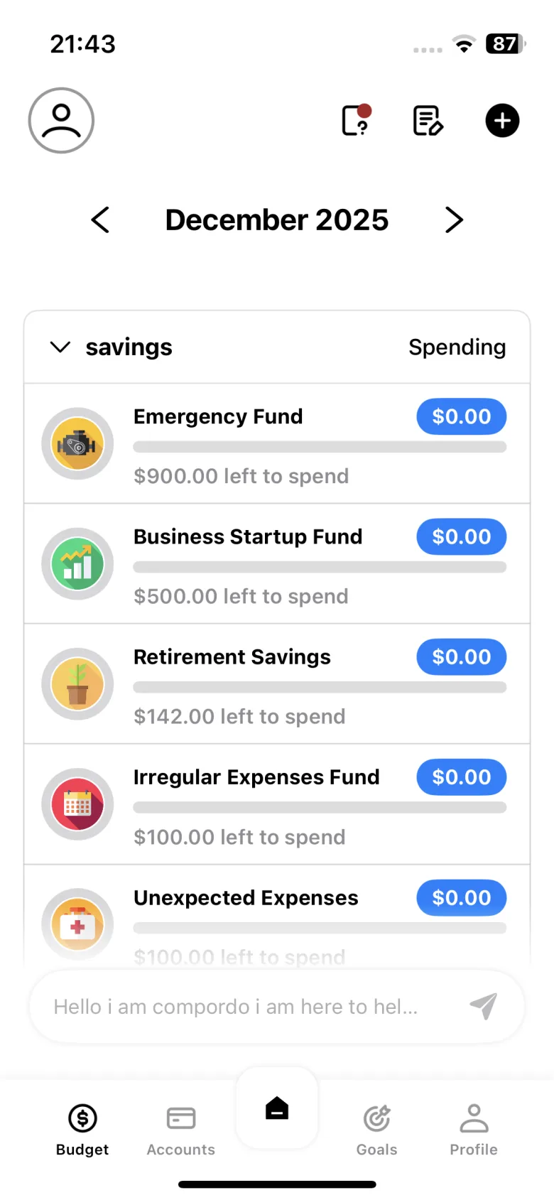 Budget screen with savings funds